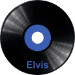 ELVIS VINYL RECORDS